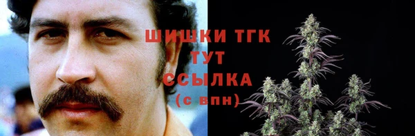 амф Богданович