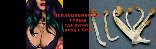 молекула духа Богородск