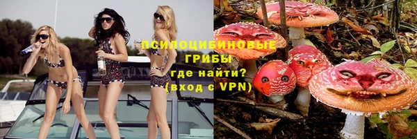 молекула духа Богородск